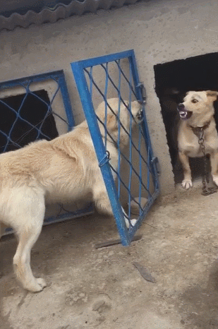 公知互撕,润人大乱战