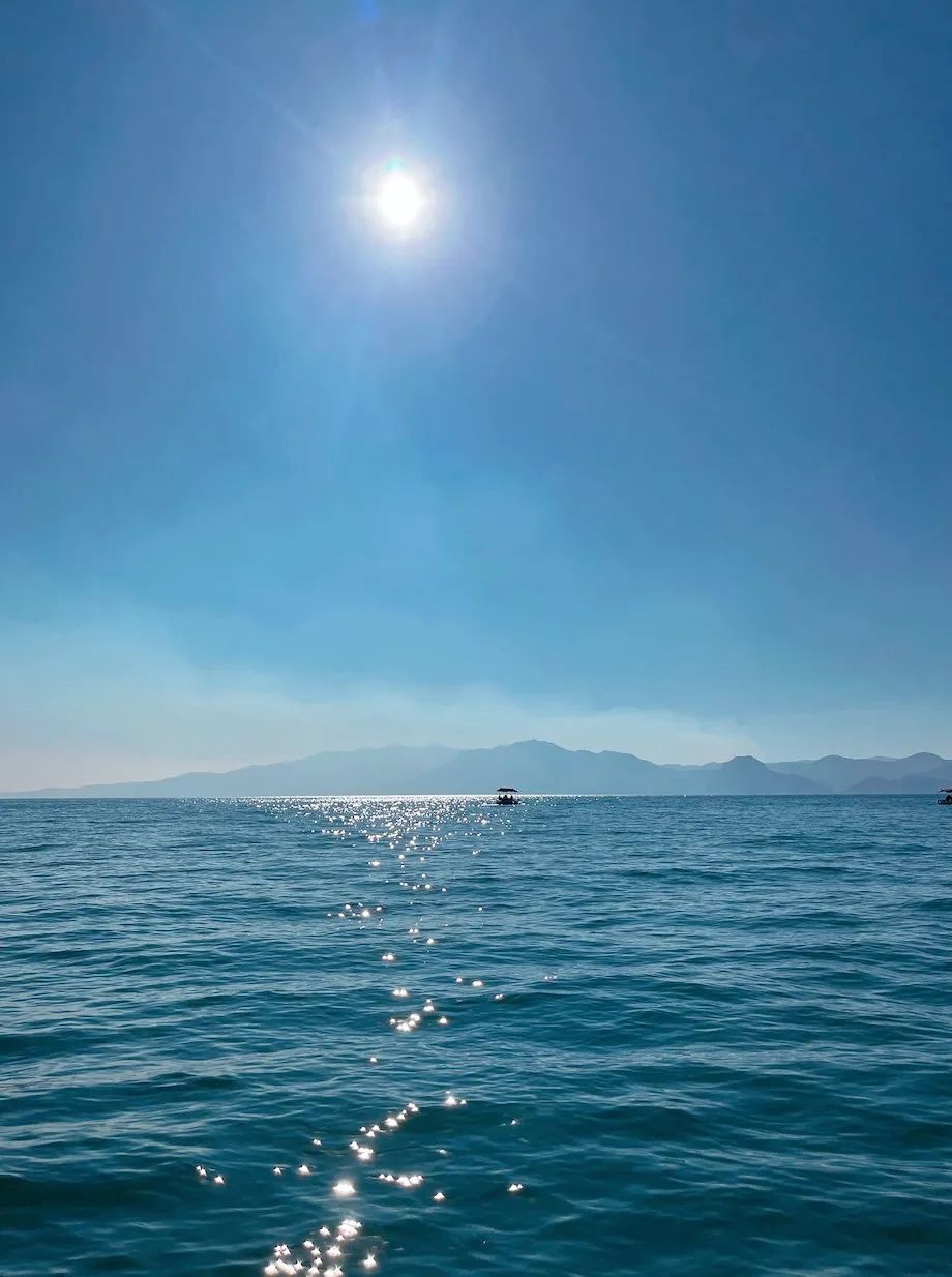 销售只招985和海归,成都到底有多卷