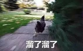 “巴铁”越来越不安全,“一带一路”有多难走?