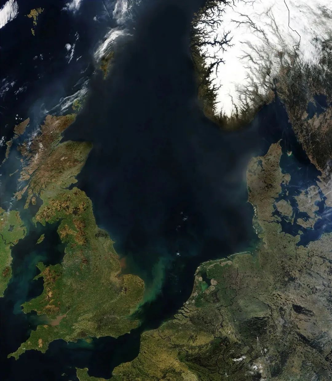 苏格兰,养活英格兰