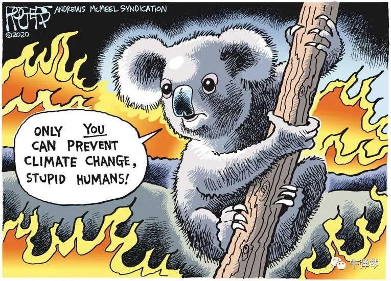 这一次,澳大利亚真有点急了