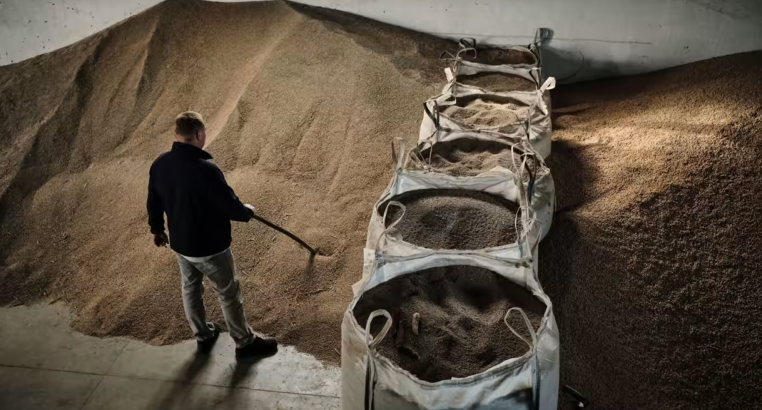 事关乌粮食,欧盟向东欧五国屈服了?