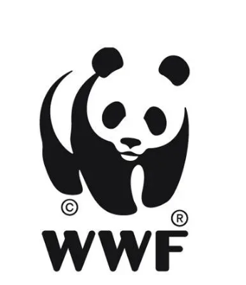 丫丫即将回国:国宝熊猫,在如何改变世界?