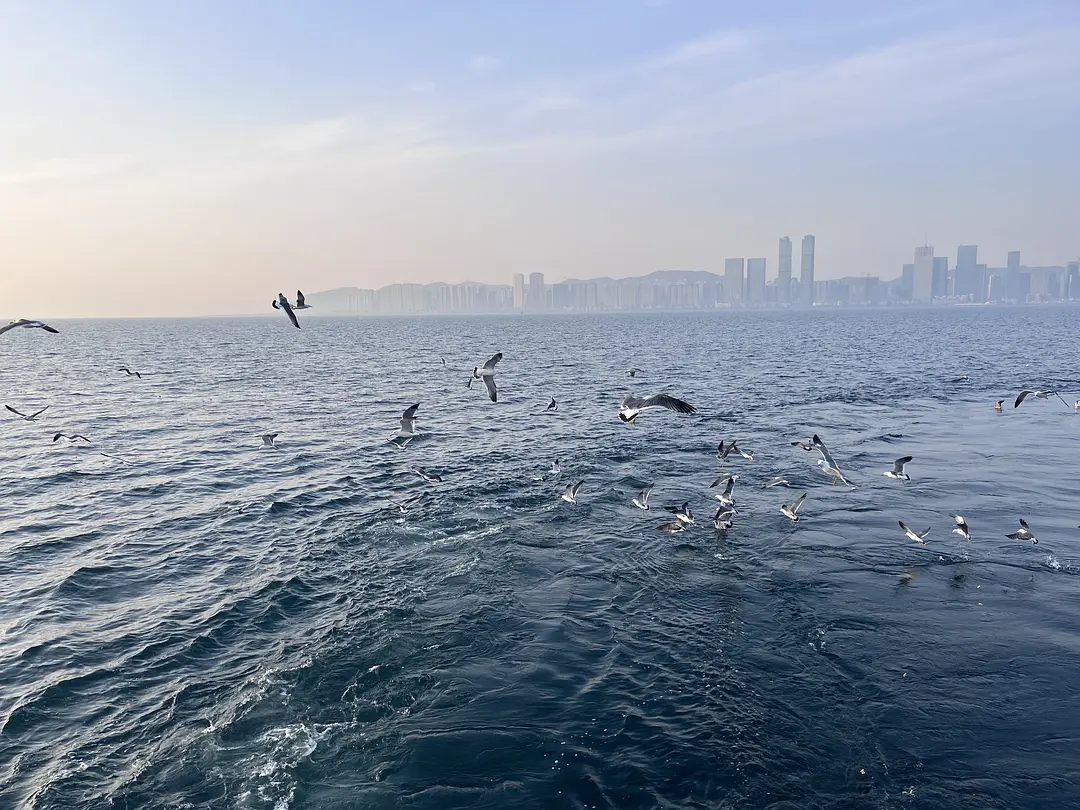 76万一平,现在墓地价格越来越离谱了