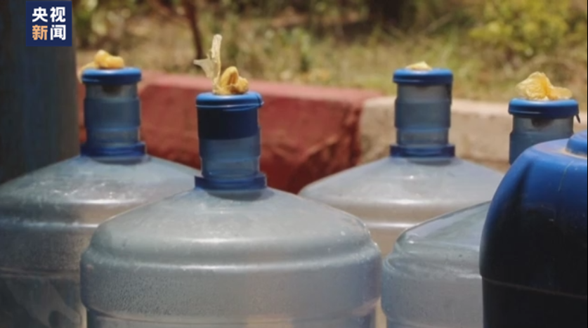 突发!拜登下令美军撤离政府工作人员,美国一大使馆暂停运作!此前已有1名美国人遇害