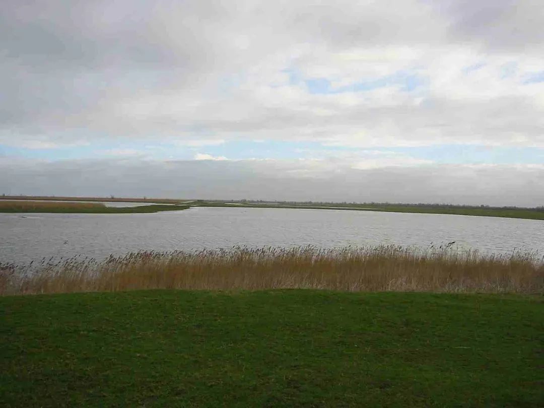 这个发达小国,无房可住