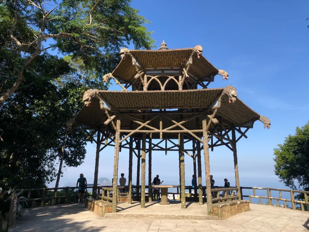 痊愈后火速访华,“老朋友”带来超大代表团