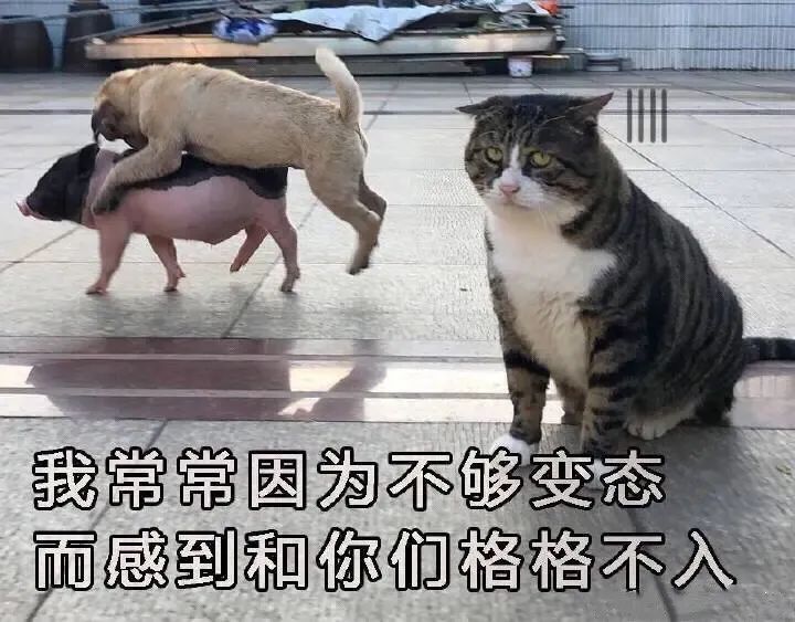 私生饭的“毒”,已经蔓延出娱乐圈……