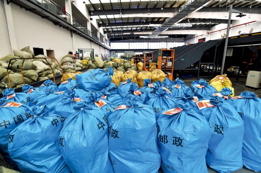 这群中国卖家,决定“冲出亚马逊”