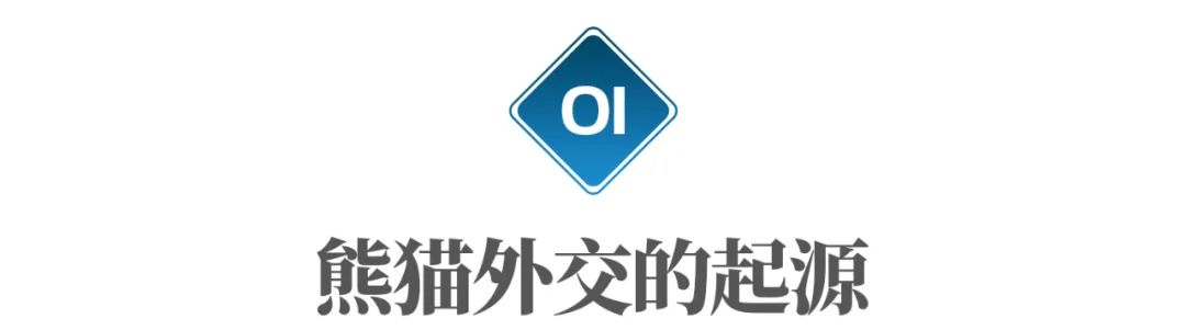 丫丫即将回国:国宝熊猫,在如何改变世界?