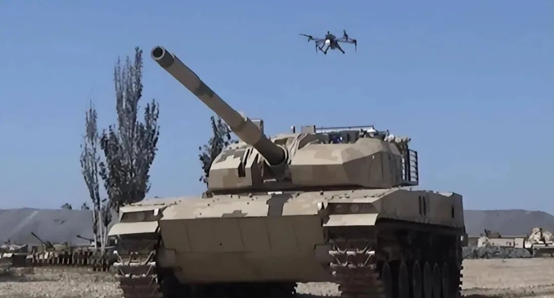 长了翅膀是大神,一看五对负重轮