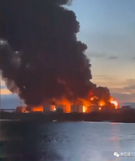 俄乌战争出现2个新特点!