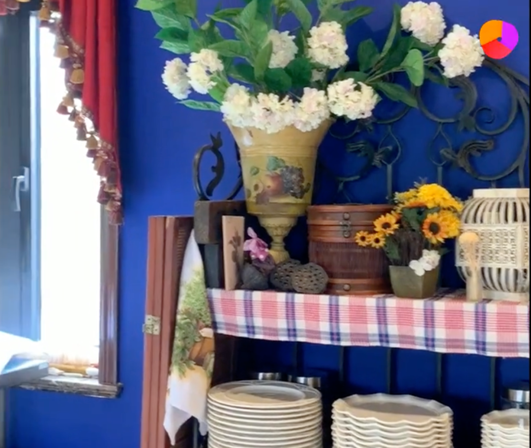 新疆人的房子里,究竟住着多少在逃公主?