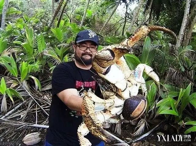 过去恐龙可以轻松达到几十吨的体重,为什么现在很少有生物达到?