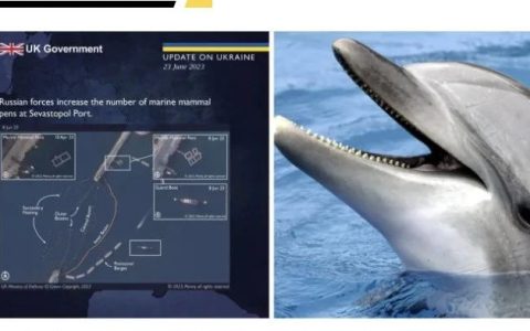 “俄罗斯训练海豚守护克里米亚”