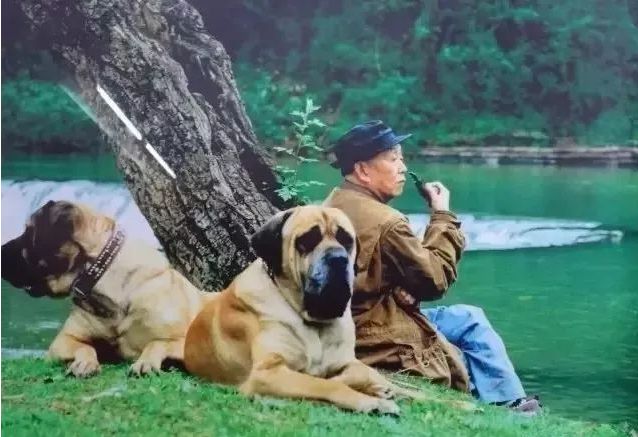 中国99岁顽童画家去世:TMD,人生太好玩了