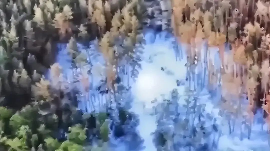 看懂乌克兰水电站被炸真相,就明白我们为什么要警惕“粮食战争”