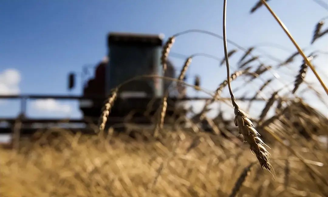 看懂乌克兰水电站被炸真相,就明白我们为什么要警惕“粮食战争”