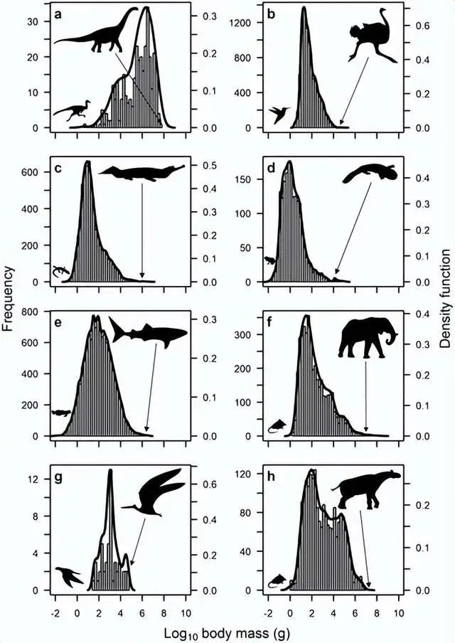 过去恐龙可以轻松达到几十吨的体重,为什么现在很少有生物达到?