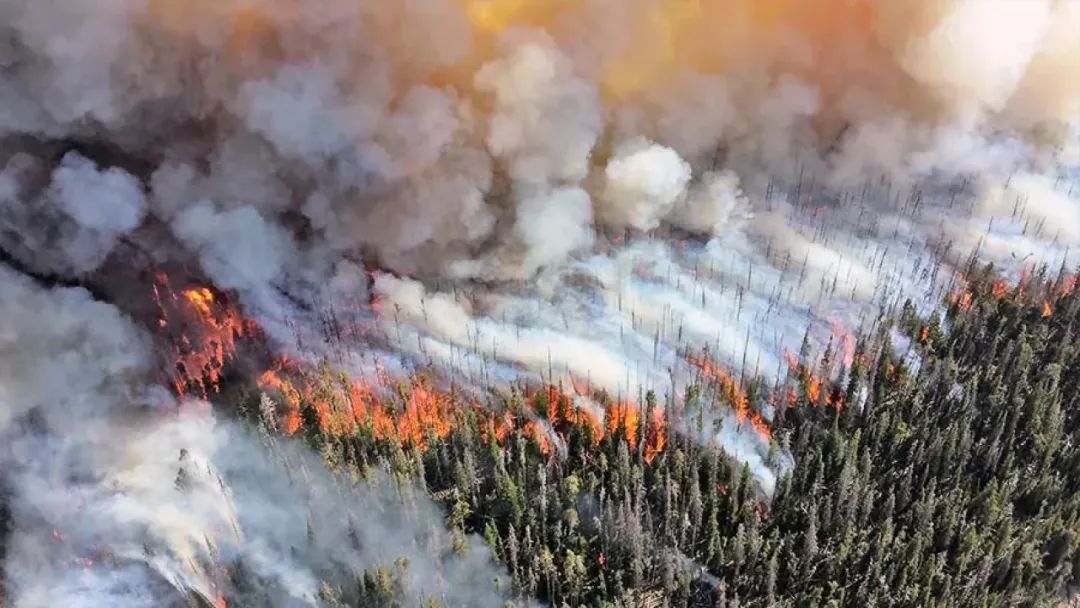 殖人说加拿大山火2小时能灭？已经烧了一个多月了！