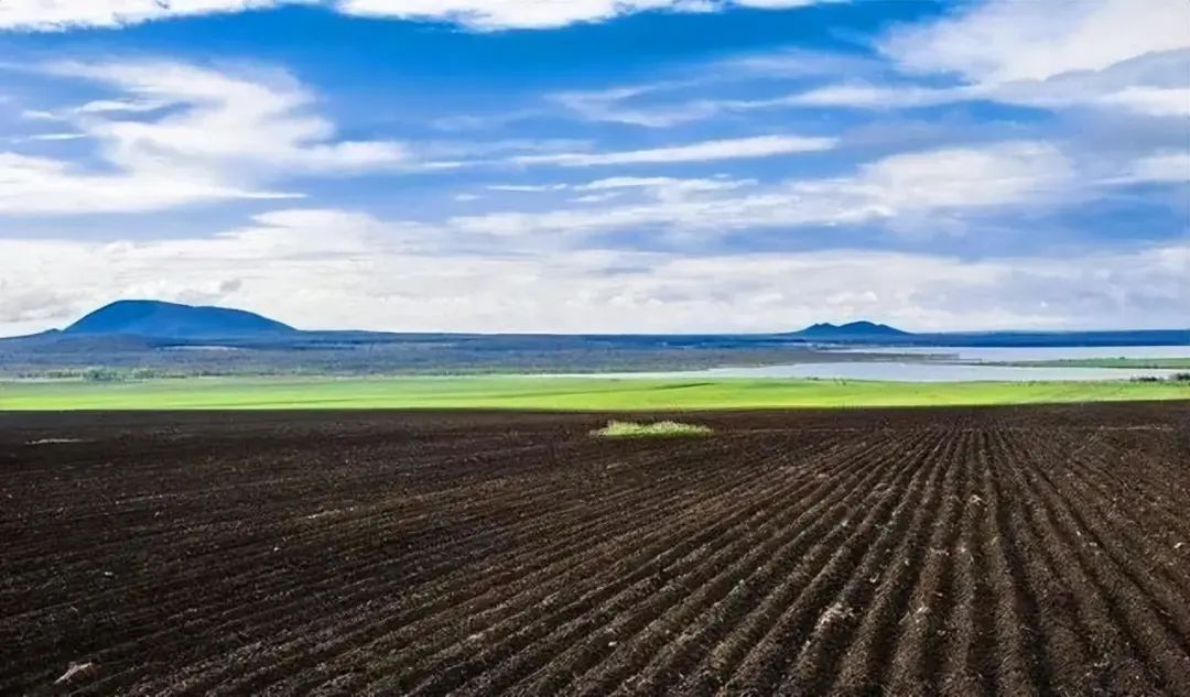 看懂乌克兰水电站被炸真相,就明白我们为什么要警惕“粮食战争”