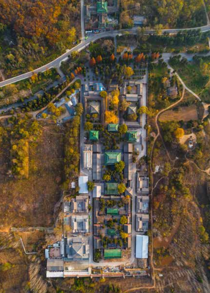 少林少林,凭什么“天下第一”?