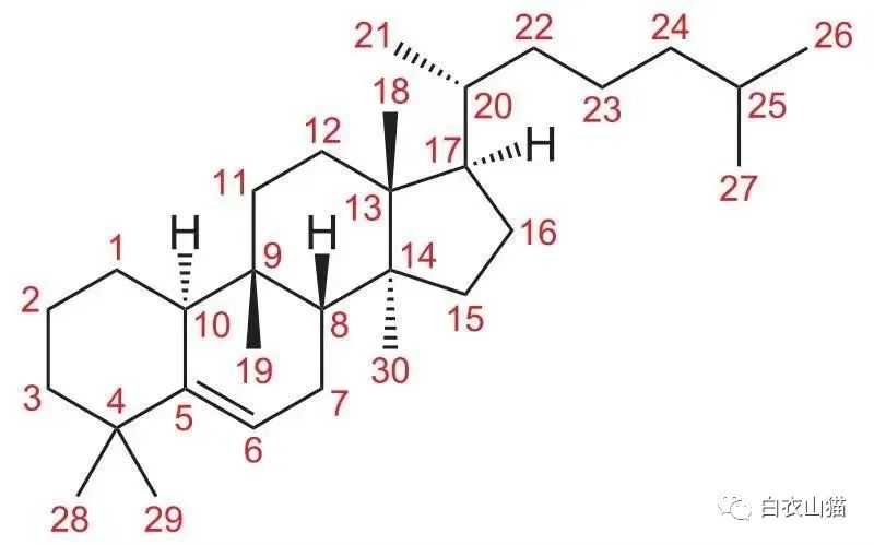 警惕!吃到这些苦味瓜果蔬菜,请立即吐出!否则,你可能得上医院!