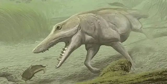 过去恐龙可以轻松达到几十吨的体重，为什么现在很少有生物达到?