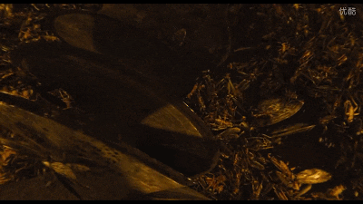 最近的北方人:来,大螂,吃药了