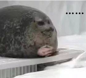 限制镓出口有用吗?为什么要给越南供电?这两个问题的背后其实有着同一个答案。