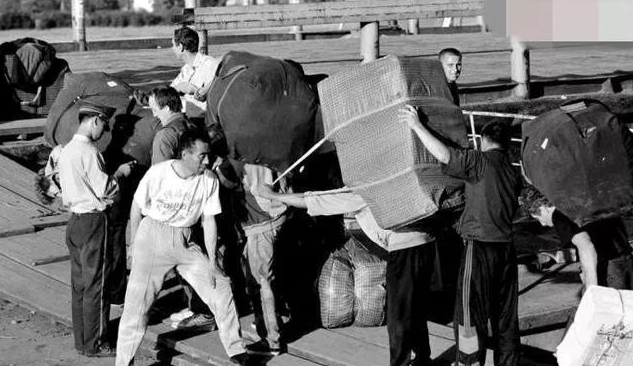 连陈奕迅都想当“黄牛”,这事到底有多赚钱?