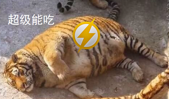 限制镓出口有用吗?为什么要给越南供电?这两个问题的背后其实有着同一个答案。