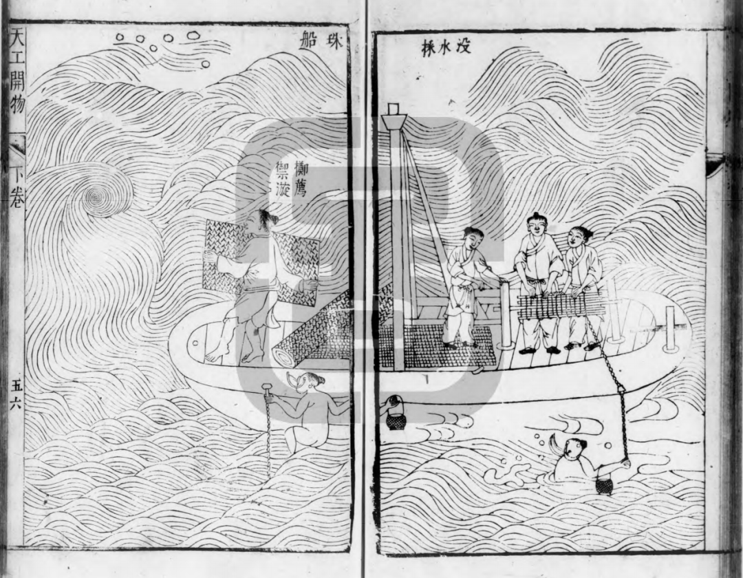 致命诱惑:深海险象环生,人类为何仍热衷潜水?