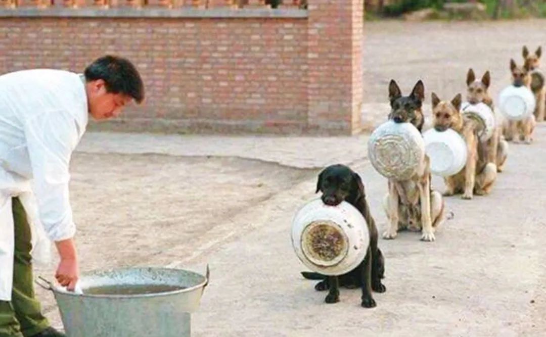 北大历史博士借批秦灭六国否定统一,网友一挖震惊了