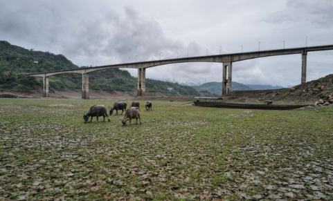 限制镓出口有用吗?为什么要给越南供电?这两个问题的背后其实有着同一个答案。