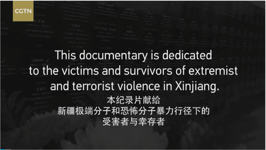 工具人柴静的真正问题