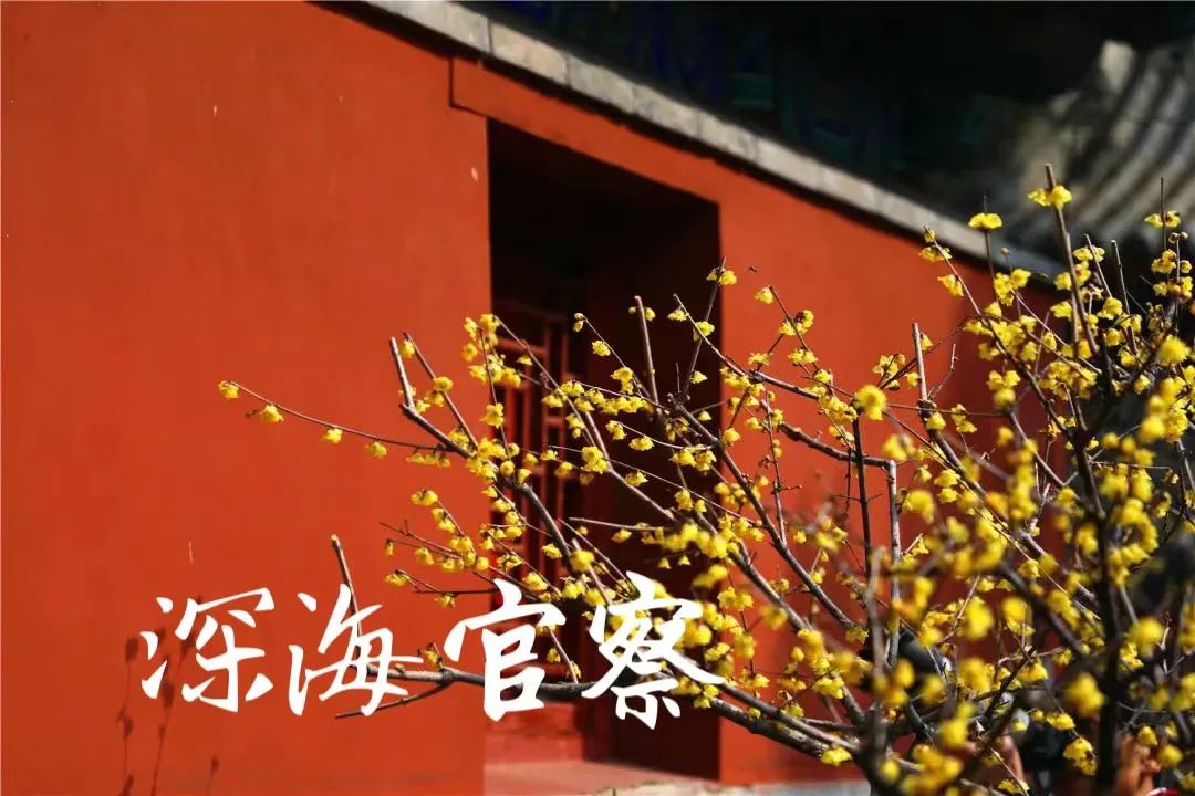 八一前夕,火箭军换帅!