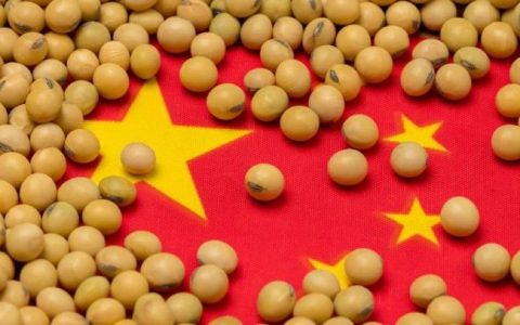中国农产品去美国化加速，巴西大豆全面进军中国市场，占有率超美国！