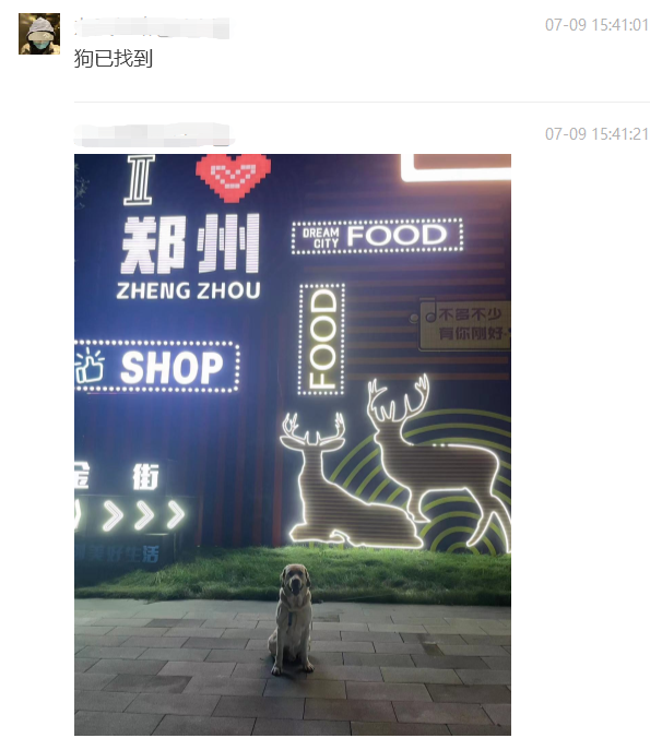 在中国,想要领养退役军犬有多难