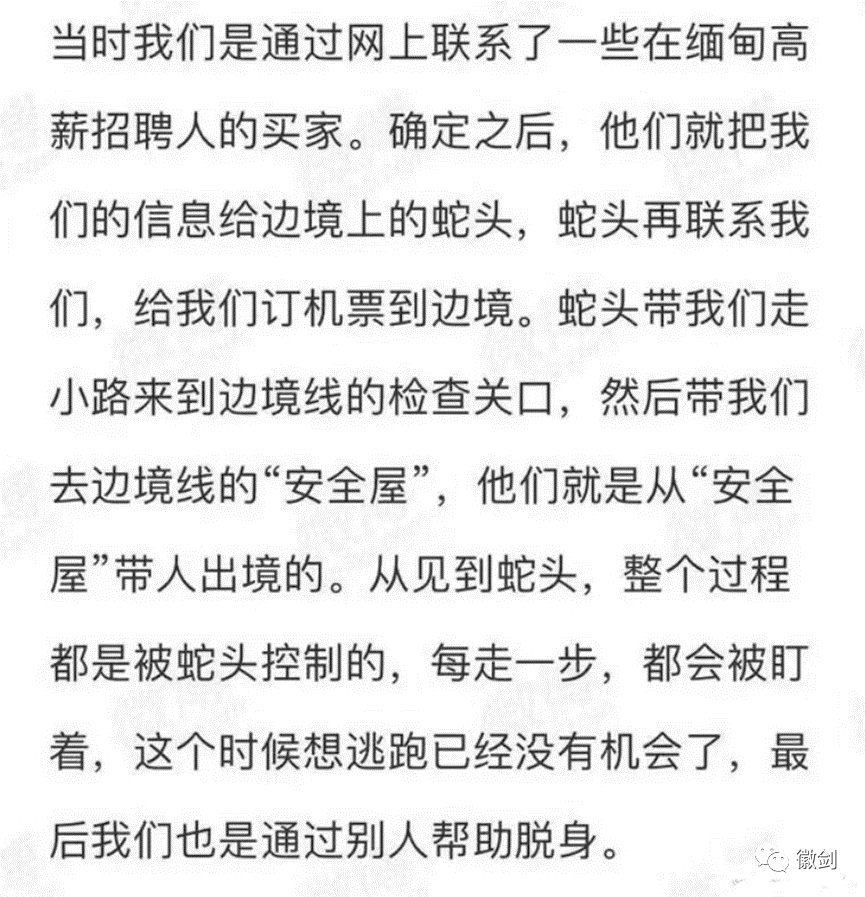 真相大白,河南都市女记者卧底缅北是彻底作假的演出