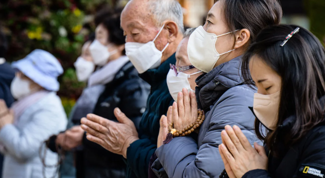 鸡娃狂国,无娃可鸡......悲剧背后的三十年