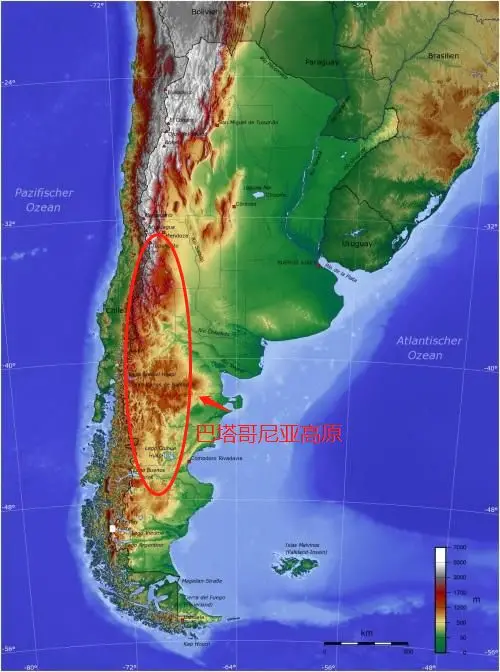 50万巴勒斯坦人生活在智利，他们为何万里逃亡南美洲？