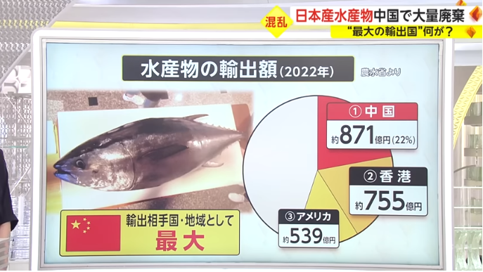 “日本北海道扇贝”，竟来自中国农贸市场？