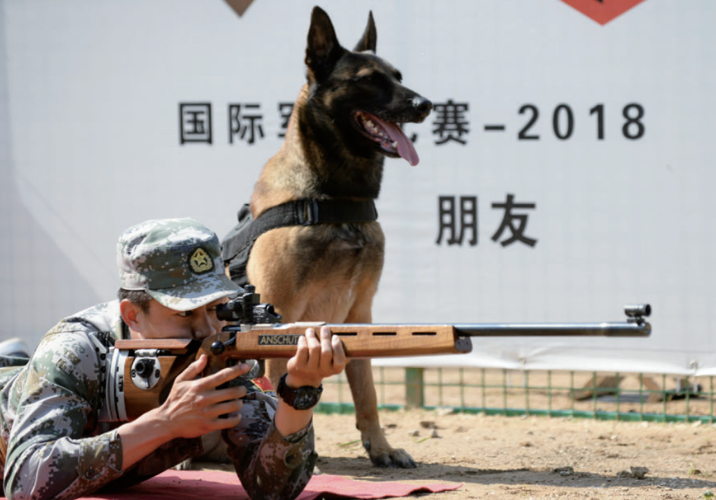 在中国,想要领养退役军犬有多难