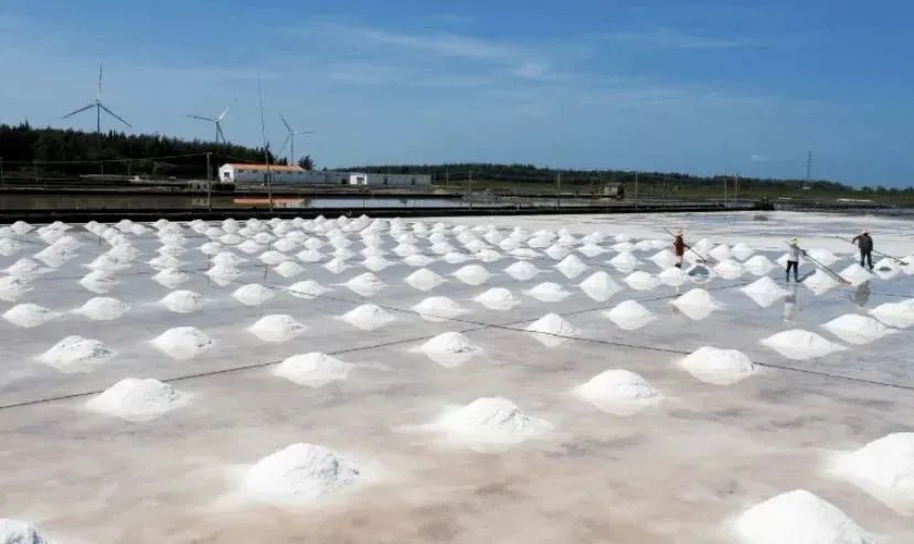 海盐会不会受核污水影响？各省盐业公司的声明令人困惑