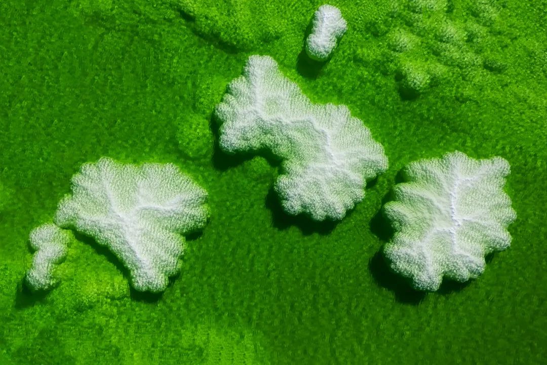 别囤盐了!中国最大的“天空之镜",比茶卡盐湖大56倍,价值12万亿,够全世界人口吃1000年!