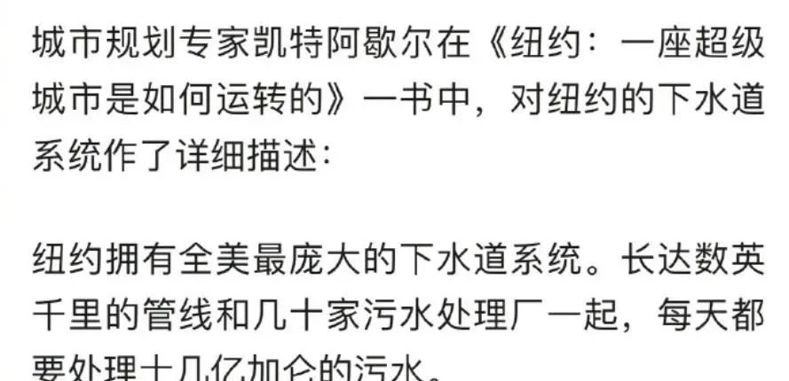飞机都被淹了:德国的下水道,都修给了青岛么?