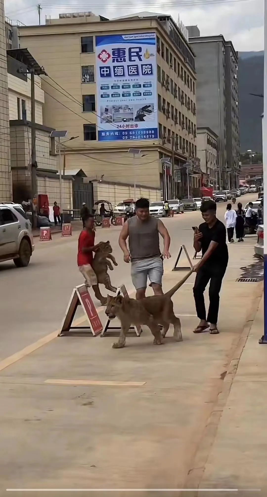 “在果敢,一个电诈人才可以卖到3000万”丨探访“金三角”核心地带