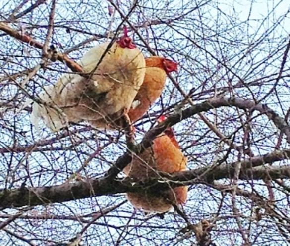 事有反常,必有蹊跷