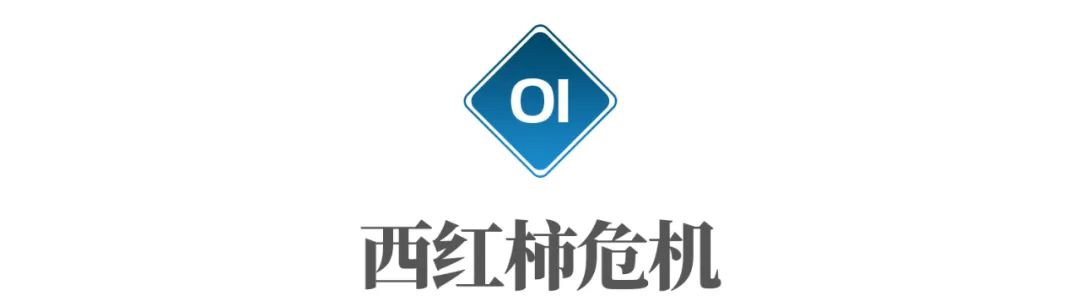 印度西红柿危机,隐藏一个农业大问题